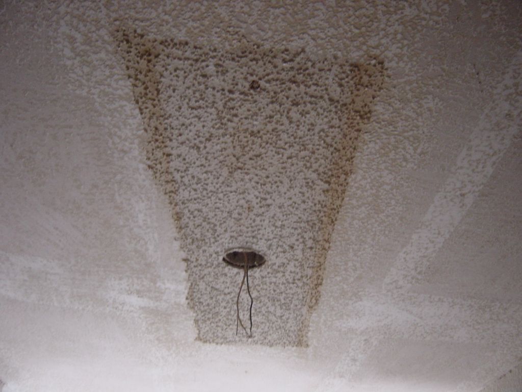 
This gives you an idea of what the popcorn looks like.  The brown on the
edges is what the whole ceiling looked like.  This is underneath the box for 
the flourescent lights in the kitchen.

