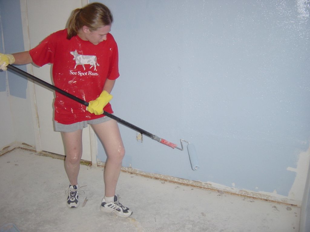 
Shelley painting
