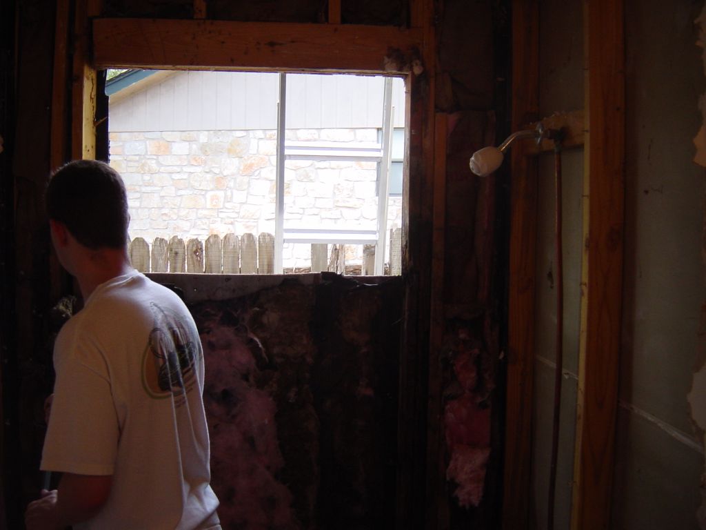 
We decided to take out all the studs and the window, and put back up new
studs and make the inside a plain wall.  We wouldn't have the wood rot / 
poorly sealed window sill problem in the shower any more, and it would be
easier when putting up the new drywall and shower surround
