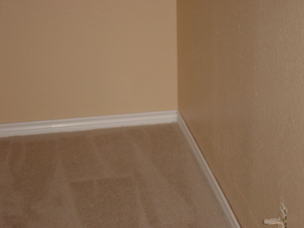
The carpet, baseboards, and walls
