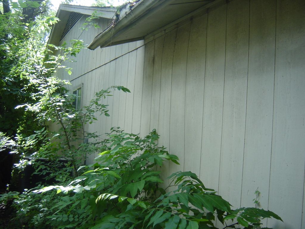
The old siding


